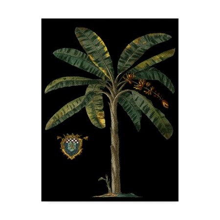 Vision Studio 'Palm And Crest On Black Ii' Canvas Art,35x47